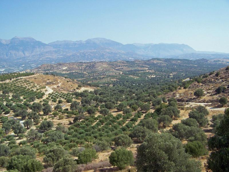 Villas Alexandros Kalamaki  Rom bilde